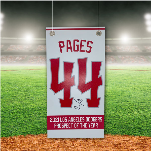 Andy Pages - Loons - Grey