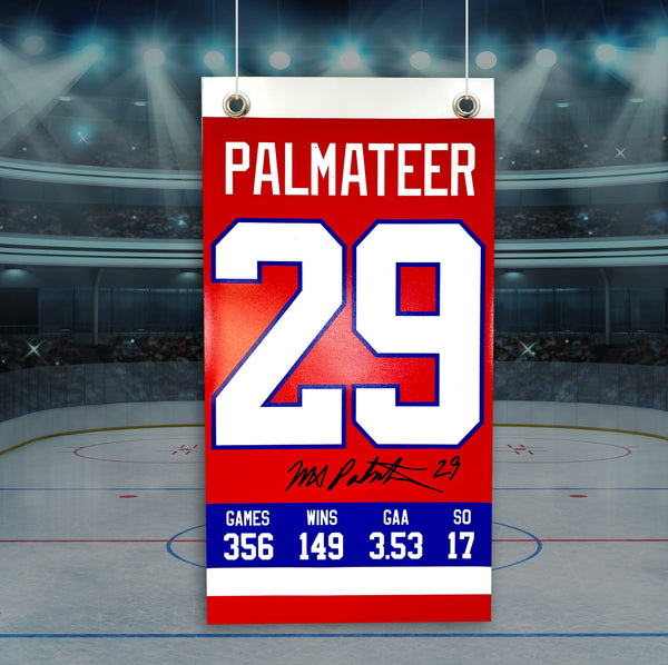 Mike Palmateer - Capitals Away